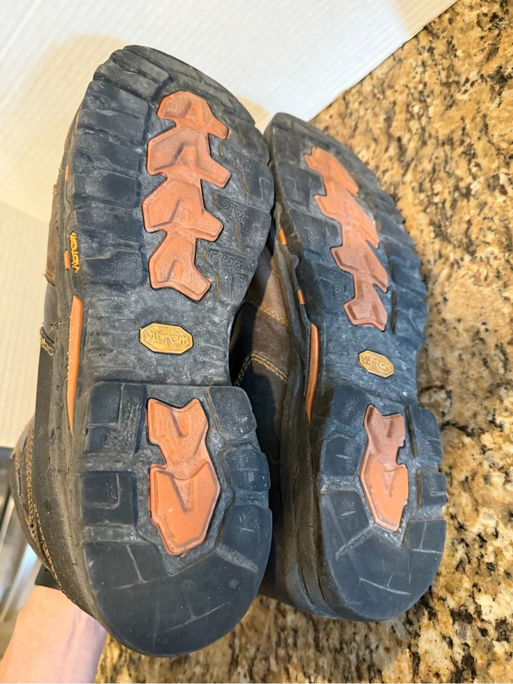 Danner Vicious 4.5